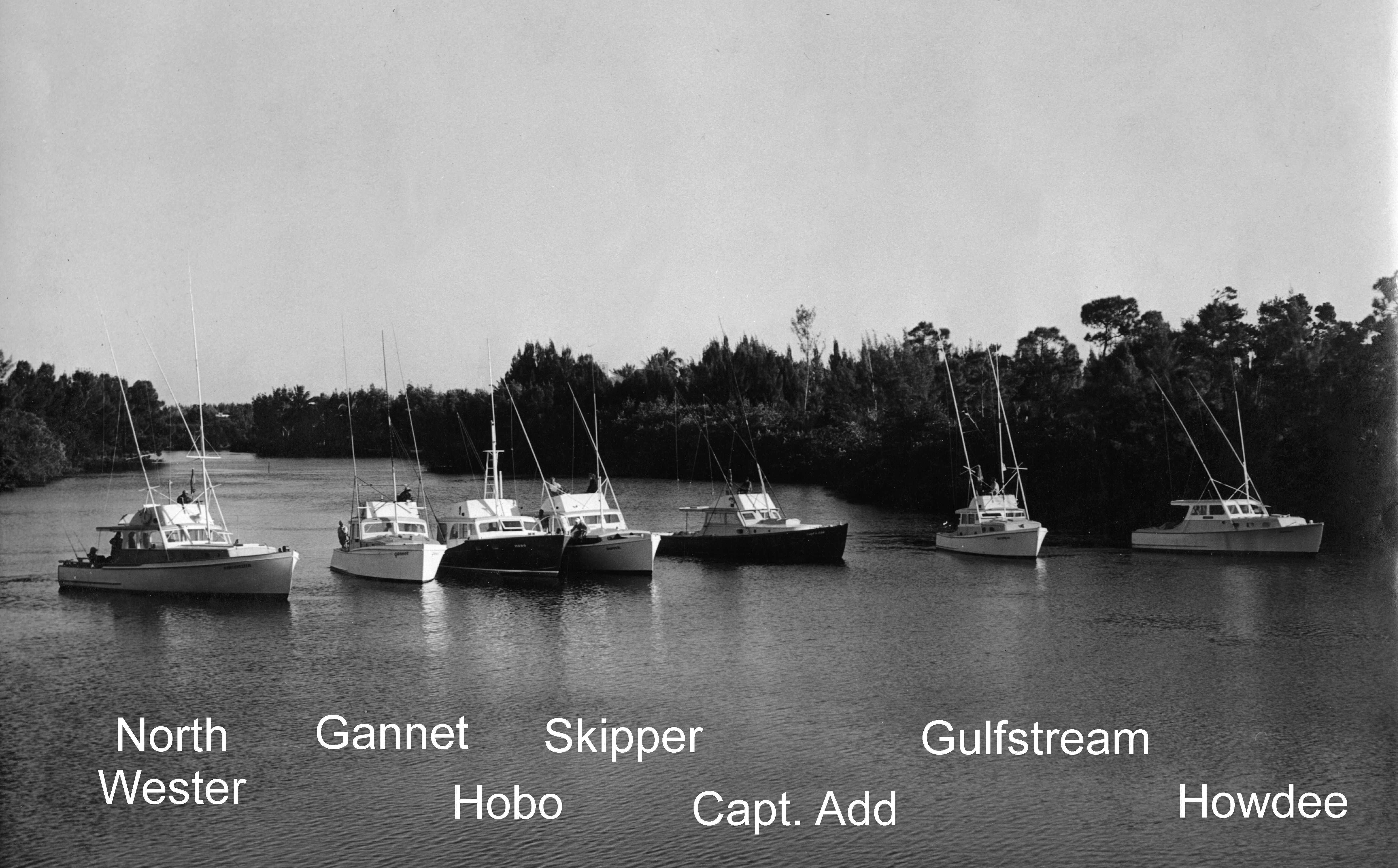 Click to See Next Image